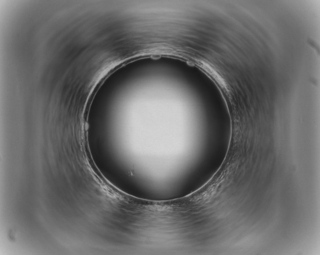 X0000098030996200804111318