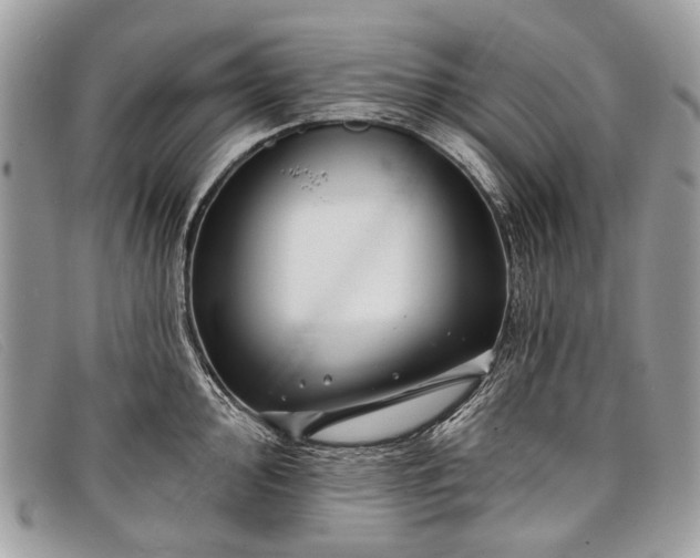 X0000098031000200804111318