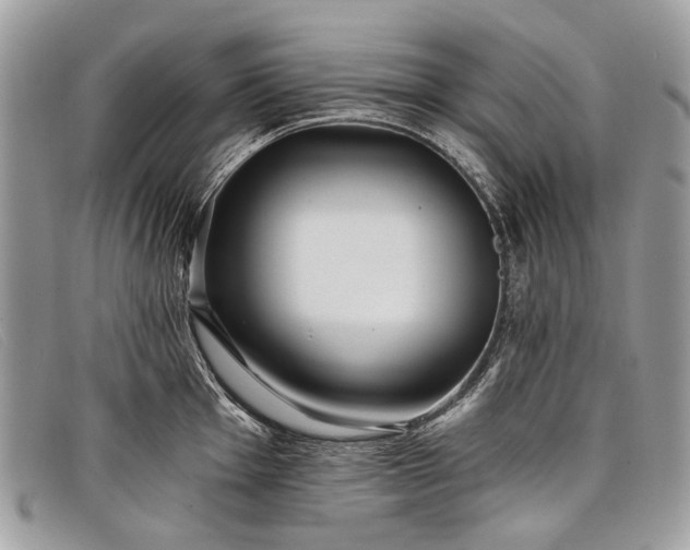 X0000098031001200804111318