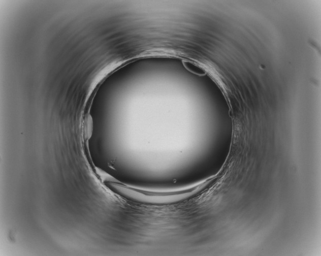 X0000098031003200804111318