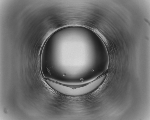 X0000098031004200804111318