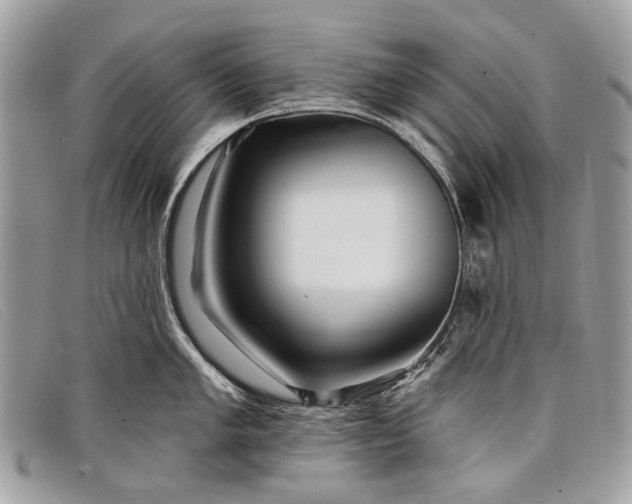 X0000098031005200804111318