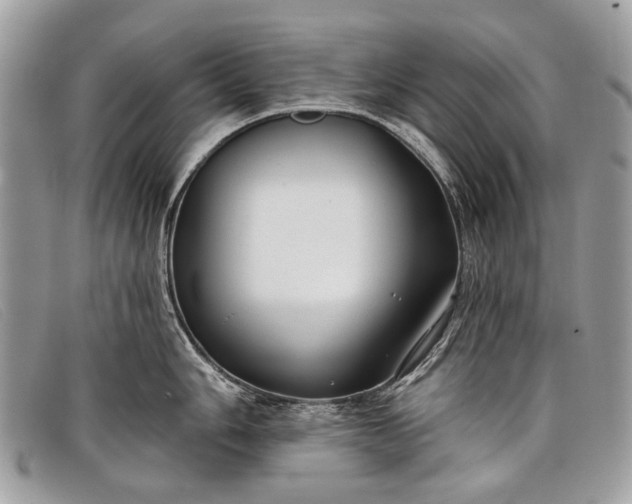 X0000098031006200804111318