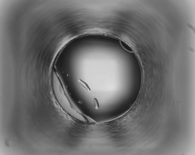 X0000098031008200804111318