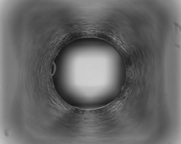 X0000098031009200804111317