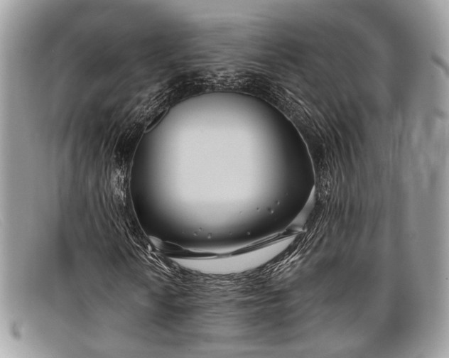 X0000098031010200804111317