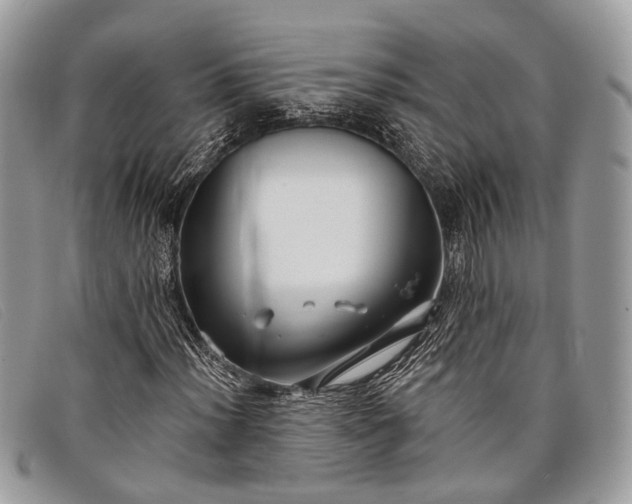 X0000098031012200804111317