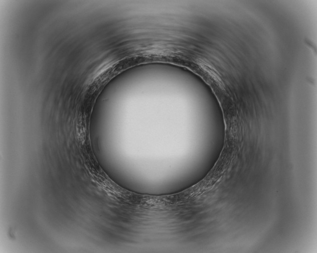 X0000098031015200804111317