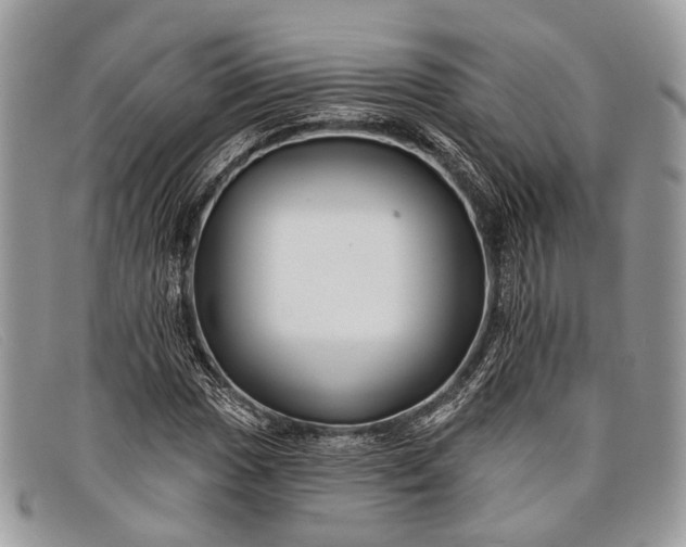 X0000098031017200804111317