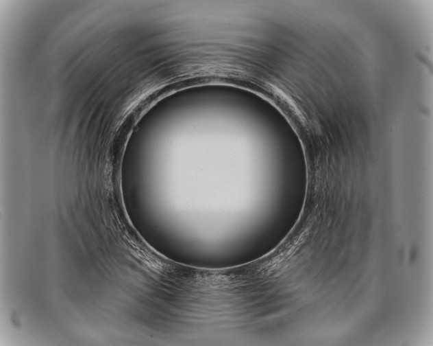 X0000098031019200804111317