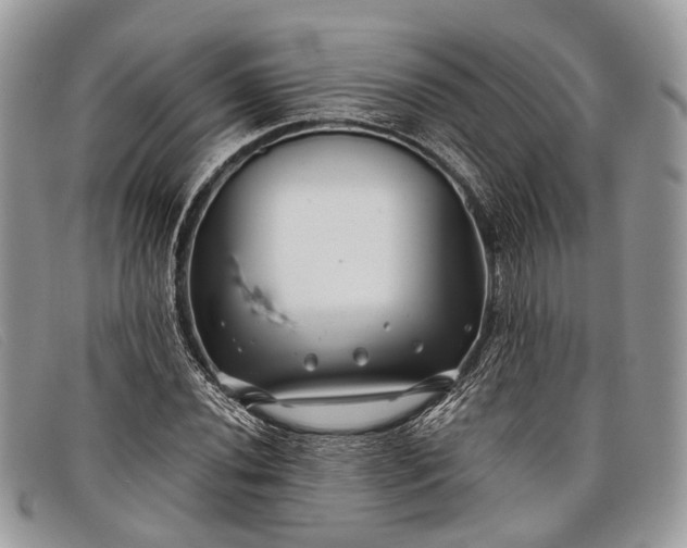 X0000098031020200804111317