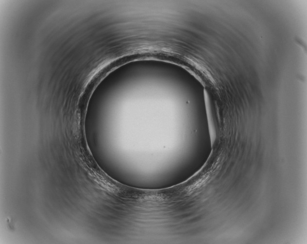 X0000098031021200804111317