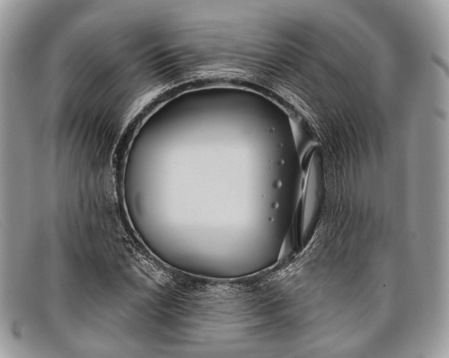 X0000098031022200804111317