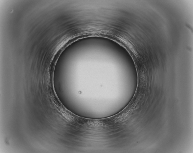 X0000098031023200804111317