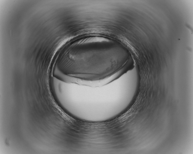 X0000098031024200804111317