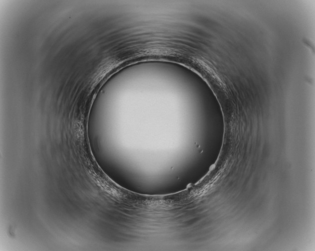 X0000098031025200804111317