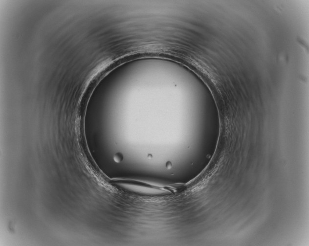 X0000098031029200804111317