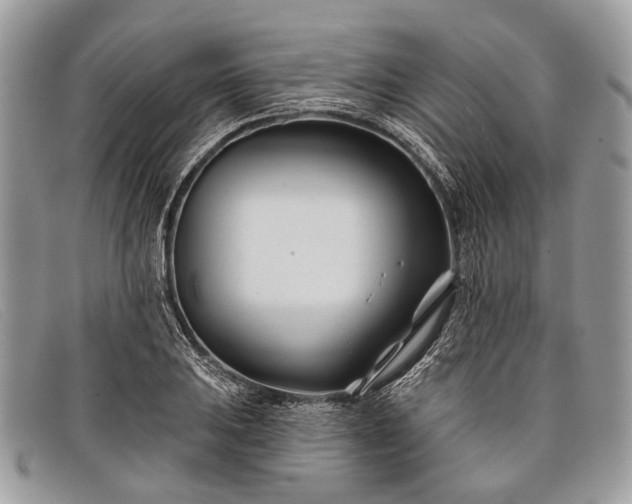 X0000098031031200804111317