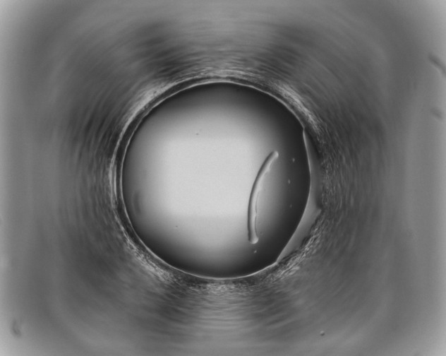 X0000098031032200804111317