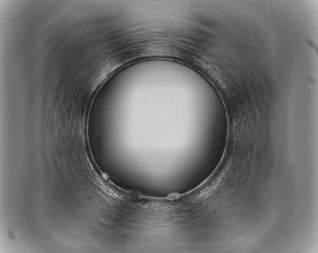 X0000098031033200804111317