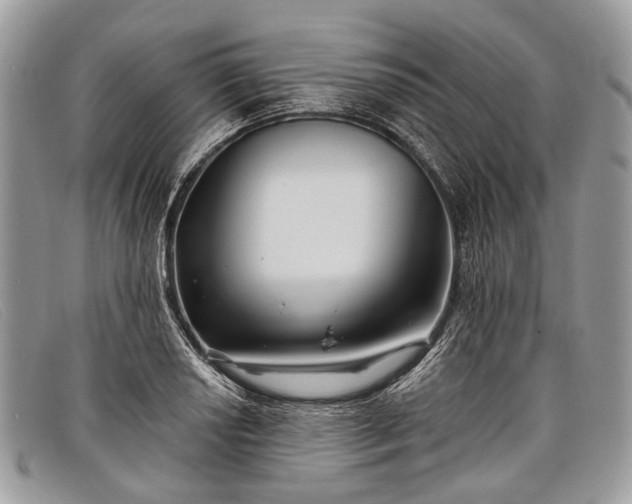 X0000098031034200804111318