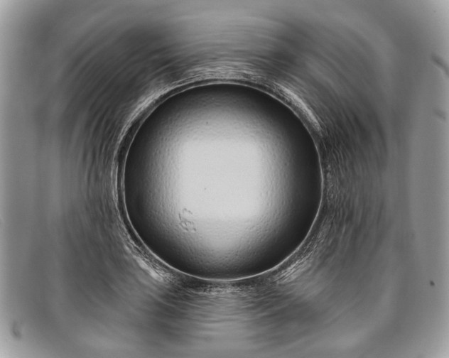 X0000098031035200804111318