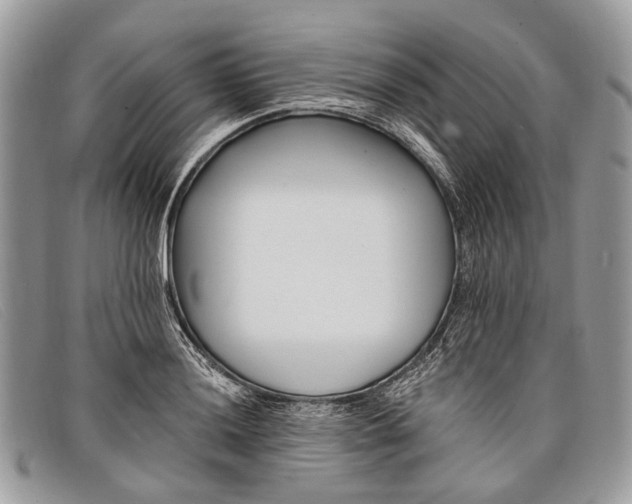 X0000098031036200804111318