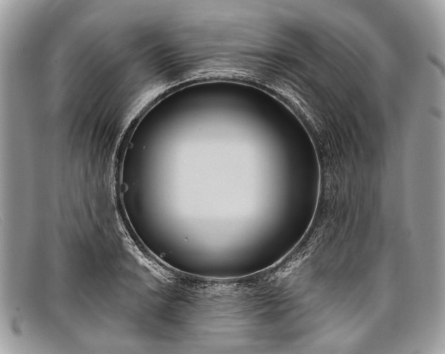 X0000098031038200804111318