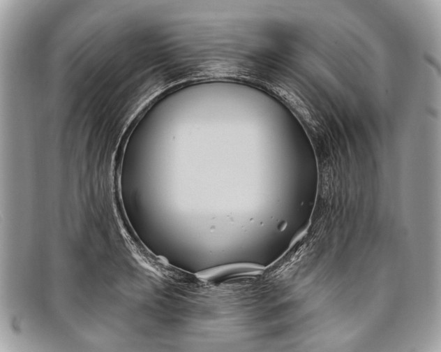 X0000098031039200804111318