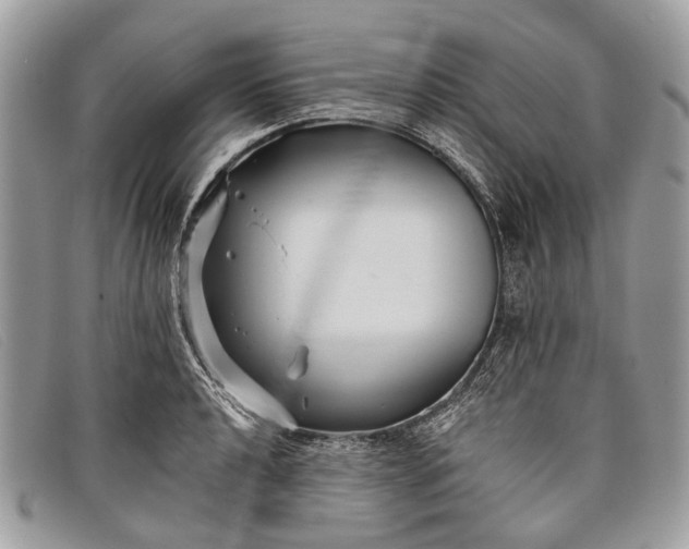 X0000098031040200804111318