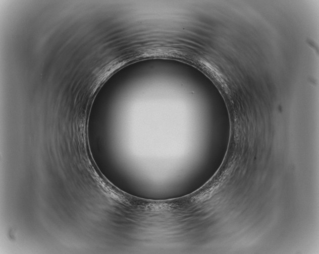 X0000098031041200804111318