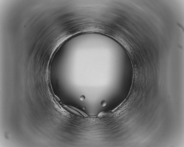 X0000098031044200804111318