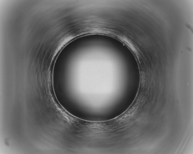 X0000098031048200804111318