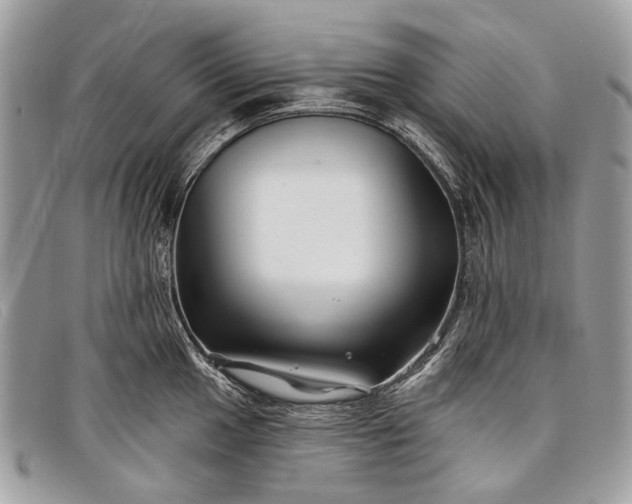 X0000098031049200804111318