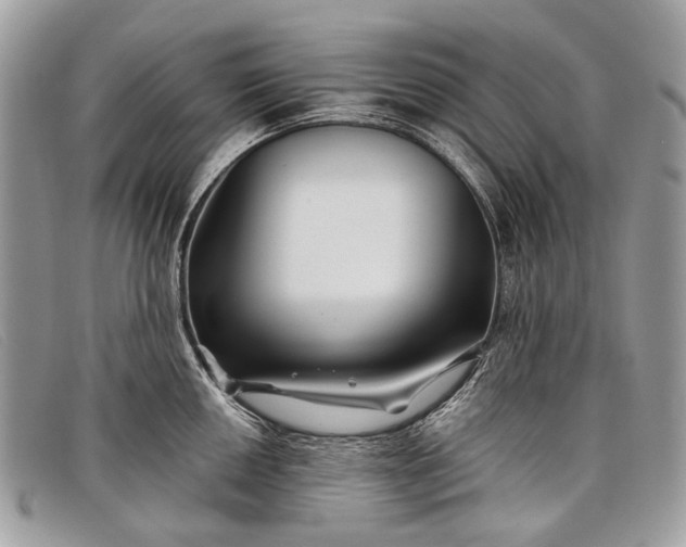 X0000098031050200804111318