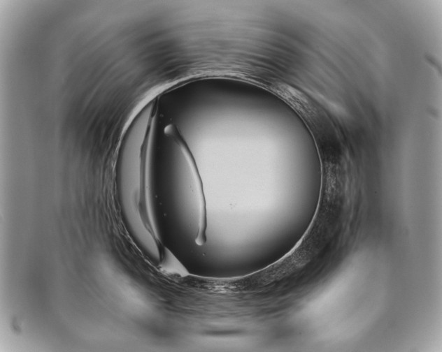 X0000098031052200804111318