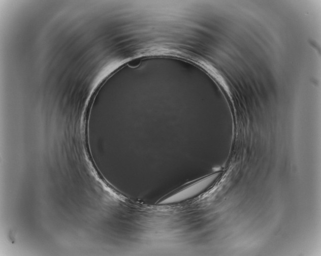 X0000098031053200804111318