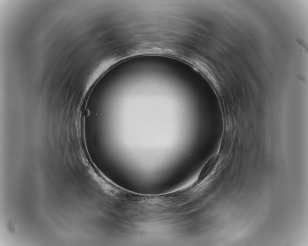 X0000098031054200804111318