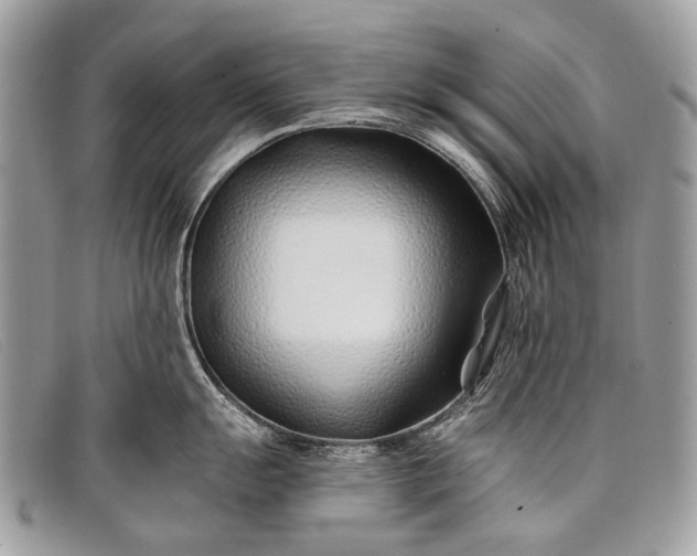 X0000098031055200804111318