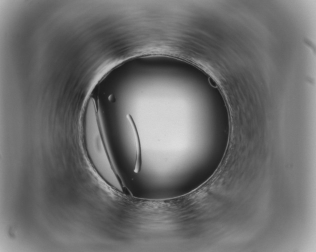 X0000098031056200804111318