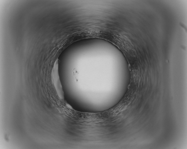 X0000098031057200804111317