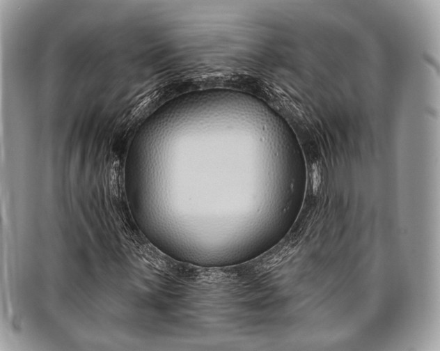 X0000098031059200804111317