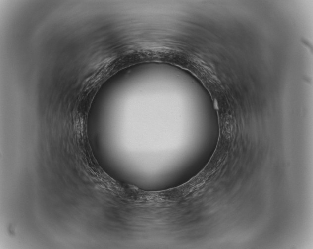 X0000098031061200804111317