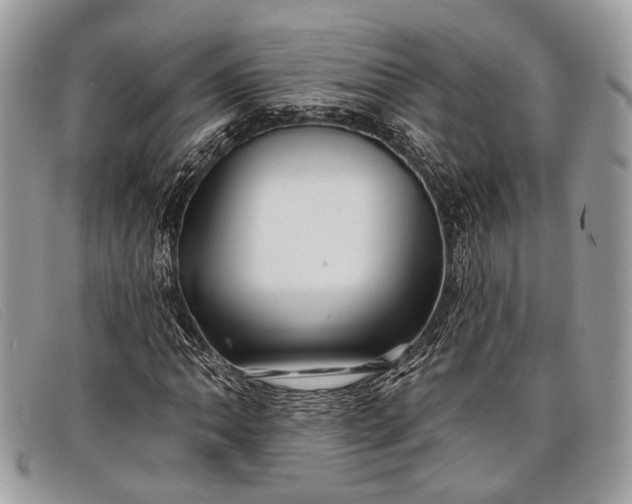 X0000098031062200804111317