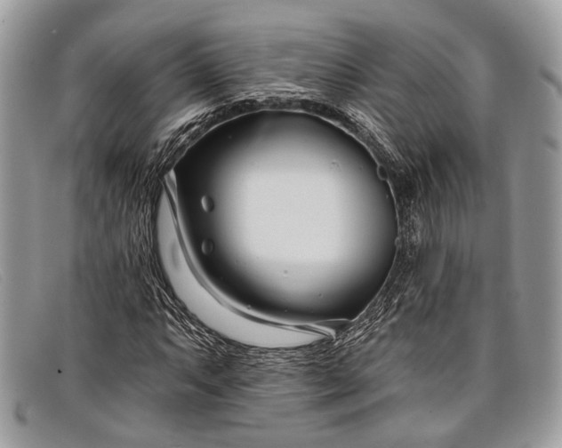 X0000098031063200804111317