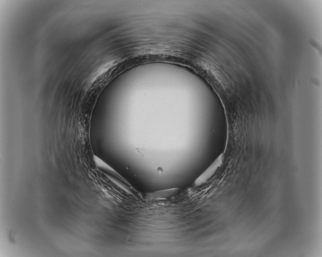 X0000098031064200804111317