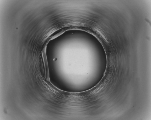 X0000098031065200804111317