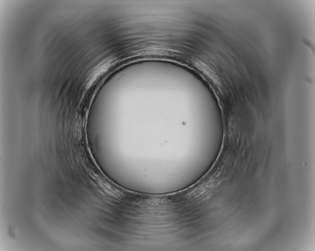 X0000098031067200804111317