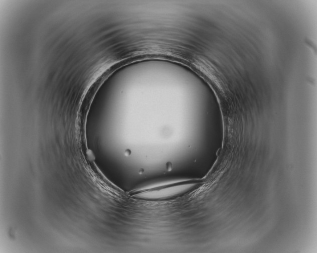 X0000098031068200804111317