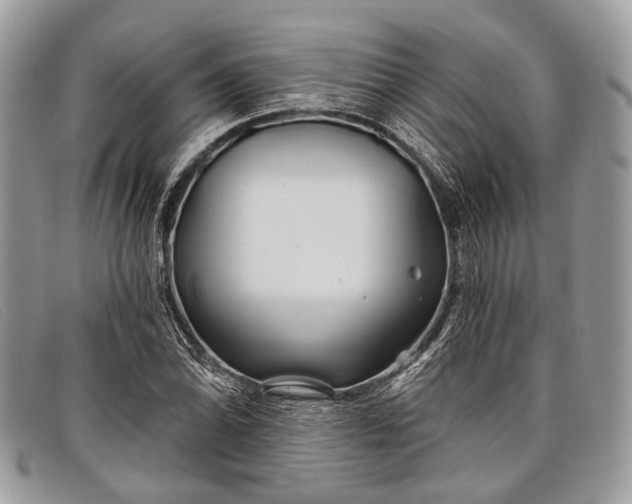 X0000098031070200804111317